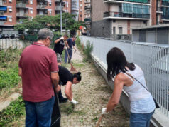 Erba alta a Santa Rita, intervengono residenti e Torino Tricolore erba alta torino tricolore santa rita