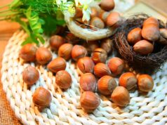 Regina Margherita, scoperta proteina che causa l’allergia alle nocciole ALLERGIA ALLA NOCCIOLA