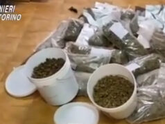 Barriera, serra artigianale di marijuana nel retro del negozio – FOTO Barriera, serra artigianale di marijuana nel retro del negozio