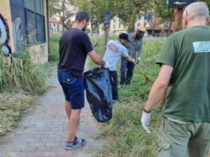 Via Sospello tra erba alta e rifiuti, interviene Torino Tricolore torino tricolore via sospello erba alta