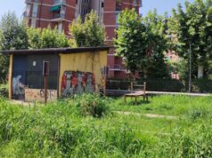 Una giungla in Borgo Vittoria borgo vittoria