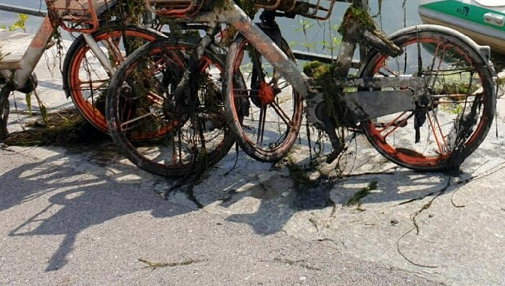 fiume po torino bici monopattini fondale