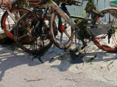 Pulizia sul fondale del Po: trovate sei bici e 2 monopattini in sharing fiume po torino bici monopattini fondale