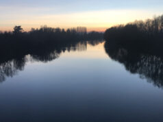 Stupra giovane durante passeggiata al parco, arrestato albanese fiume tanaro