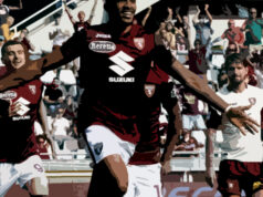 Un Toro in ripresa? torino fc