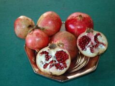 Cnr, dagli scarti di melagrana protezione ‘verde’ per il cuore