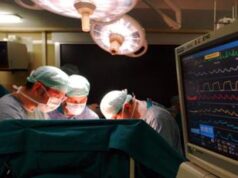 Reni di maiale impiantati in uomo, mix farmaci noti può evitare rigetto