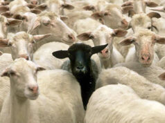 Delitto di opinione delitto di opinione