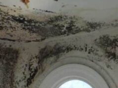 Nichelino, 85enne vive in una casa popolare “marcia” umidità casa