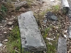 Corso Potenza, per invalidi e passeggini è pericoloso prendere il bus corso potenza bus