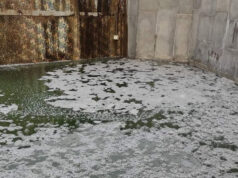 Fontana luminosa del parco Italia ’61 ancora nel degrado fontana italia 61 degrado