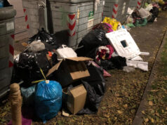 Borgo Vittoria, con la differenziata “assalto” ai bidoni “liberi” immondizia bidoni