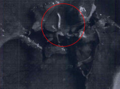 Vermi nella mensa degli ospedali “Città della Salute”? verme mensa