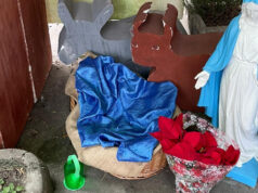 Rubate le statue del Presepe dell’Asilo San Paolo asilo san paolo torino statue presepe rubate