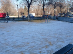 Circoscrizione 5, Legambiente “dopo la neve ghiaccio ovunque” – FOTO circoscrizione 5 torino neve ghiaccio