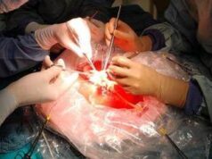 Trapianti, a Padova impiantato il fegato di una 99enne: la donatrice più anziana di sempre