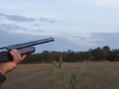 Incidente durante caccia, morto 32enne di Carmagnola cacciatore