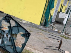 Nichelino, vandali a 10 anni. La denuncia del Comitato Boschetto nichelino vandali