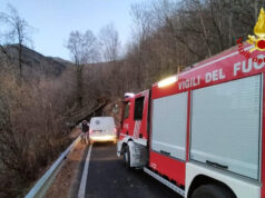Cassonetti e alberi caduti, i danni del forte vento – FOTO vento forte val susa danni