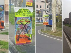 Nichelino, vandalizzati i cartelli del Circo Medini circo medini nichelino