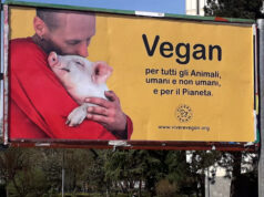 Grandi manifesti per ‘veganizzare’ il mondo: nuove affissioni in corso a Torino torino vegan
