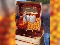 Marijuana tra le casse di arance, sequestrati 70 chili