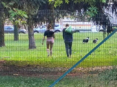 Borgo Vittoria, nel parco Sempione (ex Tossic camping) tornano i tossicodipendenti torino sempione tossic camping