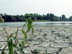 Giornata mondiale Ambiente, 28% Italia a rischio desertificazione: l’allarme