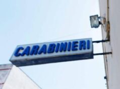 Roma, uccidono cane a coltellate e lo gettano in un fosso: denunciati