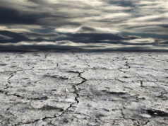 Troppo caldo sul Piemonte, è allerta rossa: agricoltura e allevamenti a rischio caldo bollino rosso allarme siccita