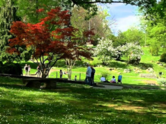 Torna l’ImbarKino, il cinema nel prato al parco del Valentino