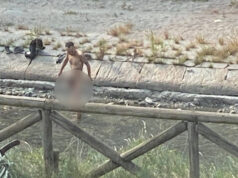 Campus Einaudi, si fa il bagno nella Dora nudo davanti agli studenti uomo nudo bagno fiume torino