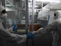 Vaiolo delle scimmie, ecco come conoscerlo: sintomi, contagio, cure e vaccino