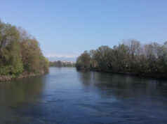Al parco del Meisino nascerà una Cittadella dello Sport Meisino Sport