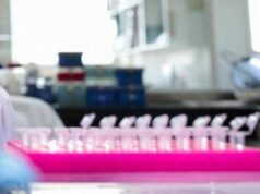 Tumori, nel Dna spazzatura molecole alleate: lo studio Italia-Usa