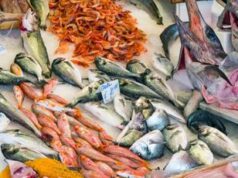 Da Msc-Ieo 9 ricette di pesce amiche della salute e dell’ambiente