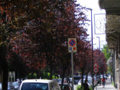 Pozzo Strada, ragazzo muore cadendo da un palazzo via pozzo strada torino