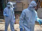 Virus Nipah in India, è allarme: come si trasmette e cura