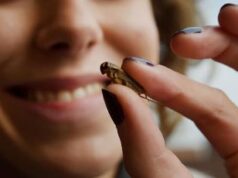 Insetti nel piatto, pediatri ‘no farine ai bimbi, ancora dubbi’