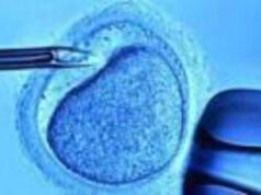 Fecondazione, mamme senza bombe ormonali con meno rischi aborto: ‘svolta per over 40’