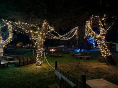 Grugliasco, con “R.Estate al Parco Porporati” il grande ritorno dell’area verde estiva restate al parco porporati