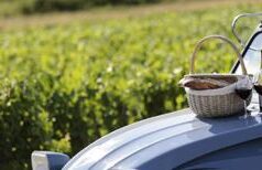 Borgogna, nel 2022 fatturato da record