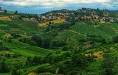 Canneto Pavese: la storia secolare di un paese dove tutto ruota intorno al vino