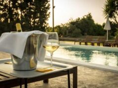 Cantine con piscina o piscine tra le vigne: il connubio perfetto per l’estate