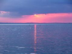 Grenaches du Monde: sette medaglie per i vini del Consorzio Trasimeno