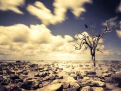 Clima, una minaccia allo stile di vita per un italiano su due