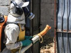 Dengue, l’allarme si allarga: dopo il Brasile colpita anche Argentina