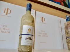 Svelati i primi 4 vini subacquei prodotti in Molise da ‘LeProfonditÃ