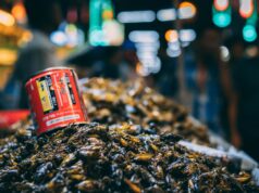 Novel food, Silvio Viale chiede “farina di insetti nei menù scolastici”. Il no della Lega novel food