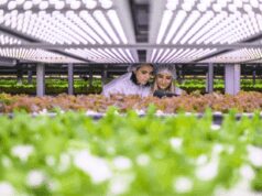 AgriMercati Ismea, positiva la congiuntura nel primo trimestre 2025